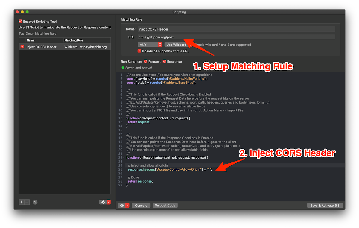 How to bypass CORS Policy · Proxyman