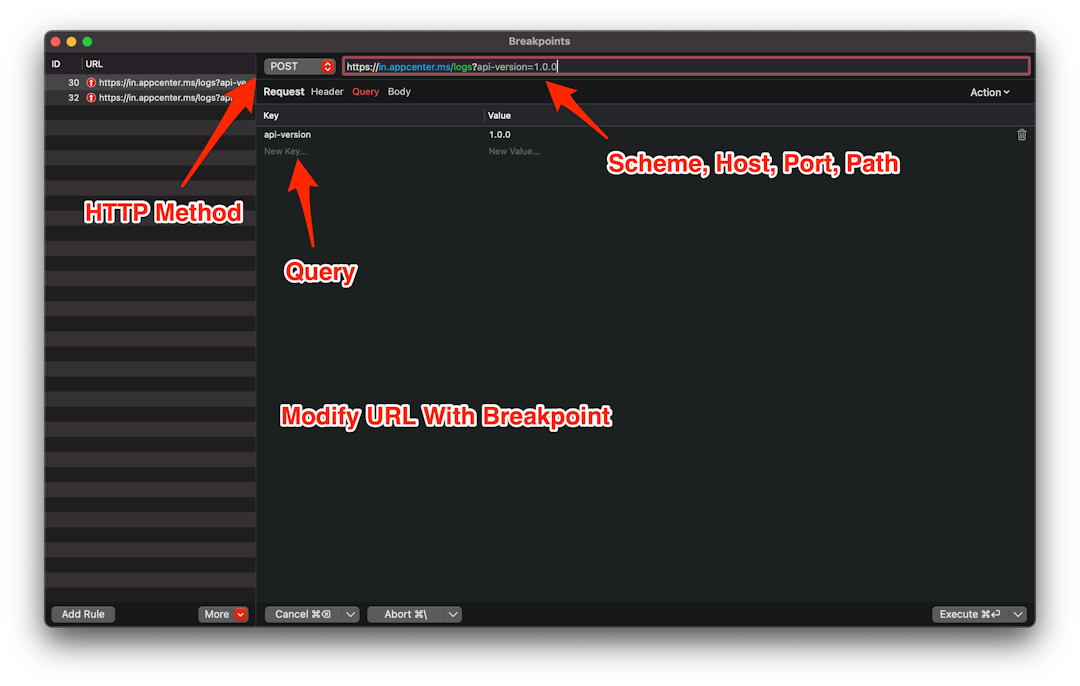 modify-http-request-response-with-proxyman-breakpoint-tool-proxyman